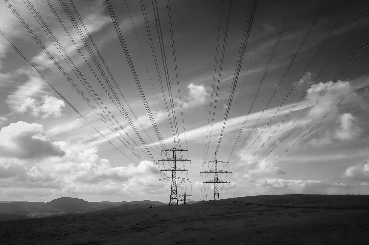 Interaktiver Austausch im Webinar