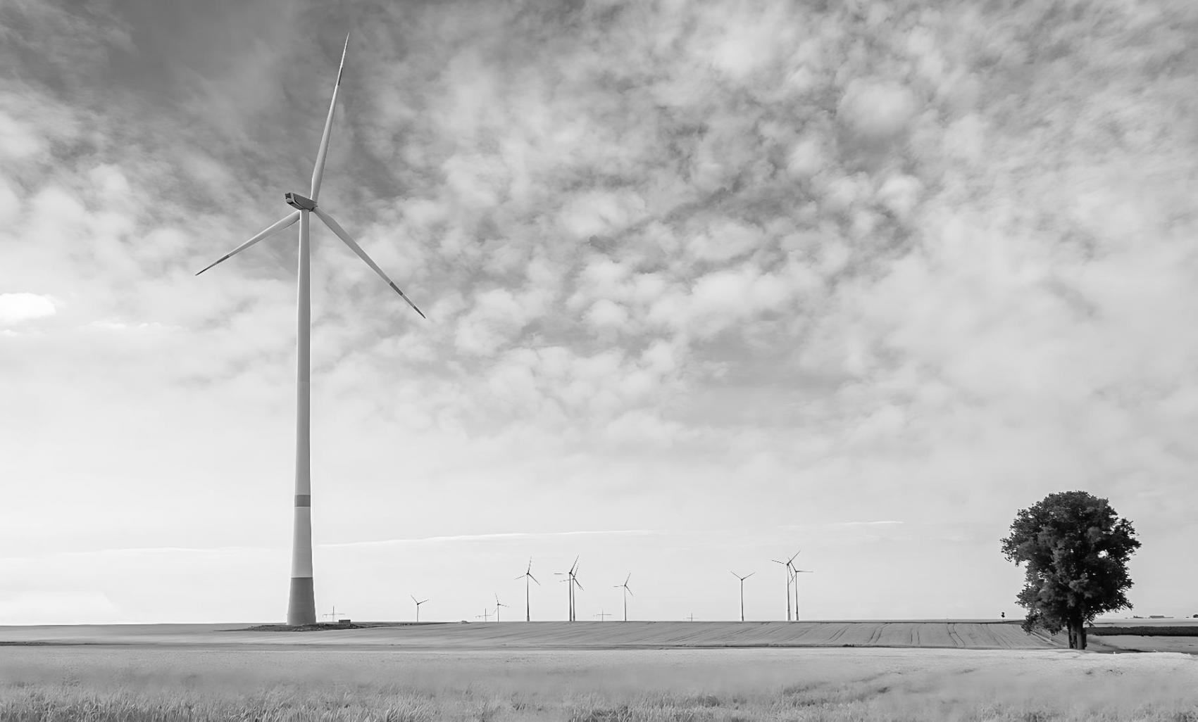 Teilnehmer beim interaktiven Energie-Webinar