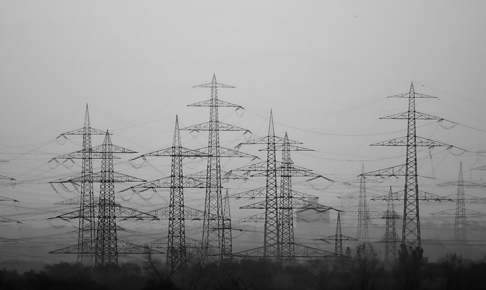 Teilnehmer verschiedener Erfahrungsstufen im Webinar